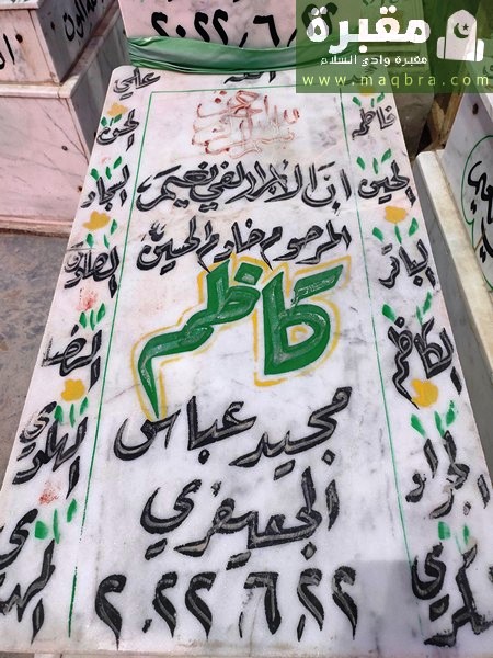 16779432541187208233065651651007