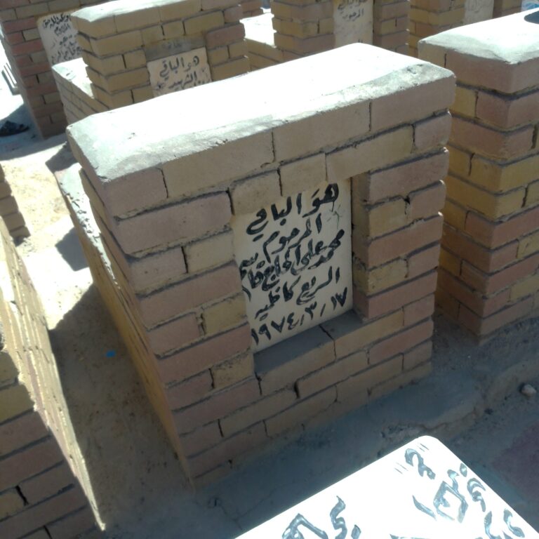 IMG ٢٠٢٤٠٤١١ ٠٩٥٧٠٦ scaled 768x768