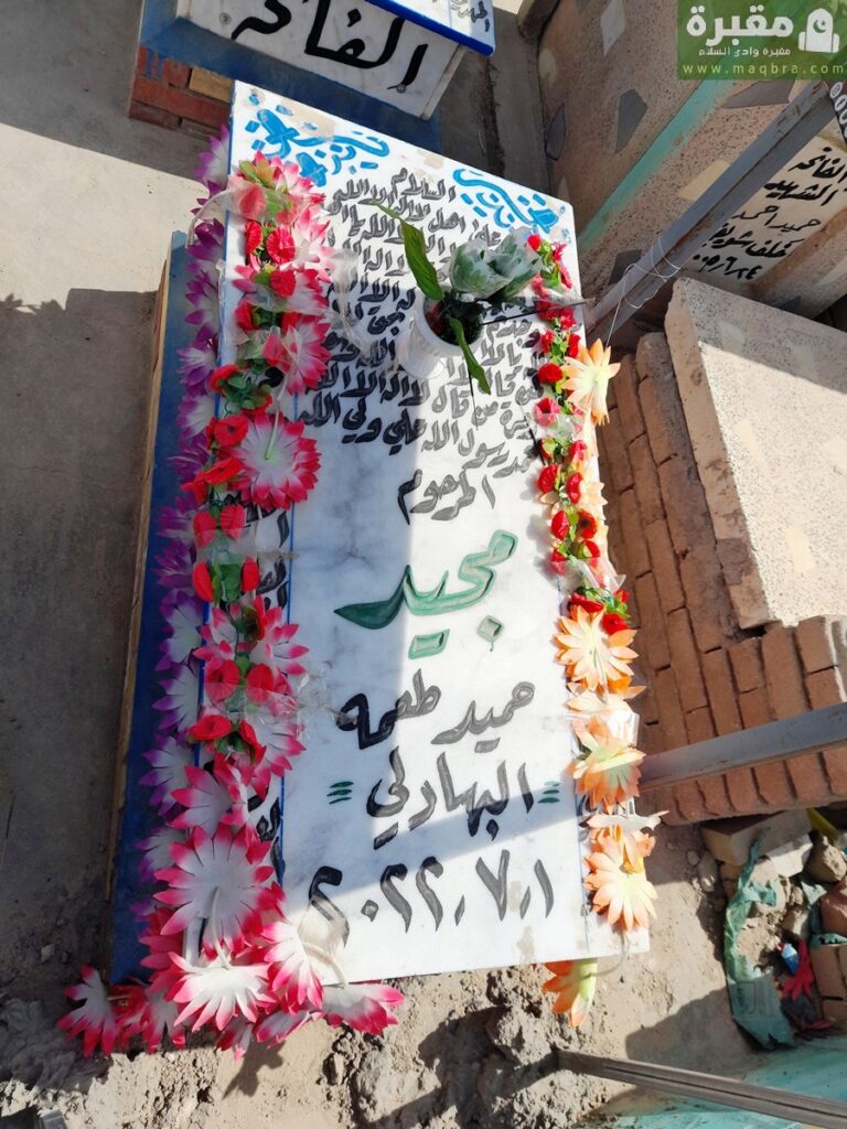 16778305831947349265508931859350 768x1024