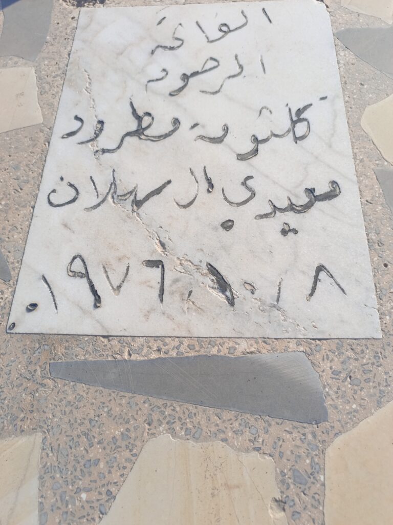 IMG 20250128 090806 768x1024