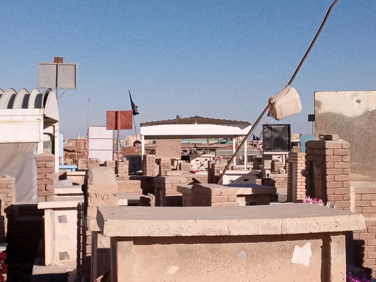 IMG 20220211 084217 998 768x576