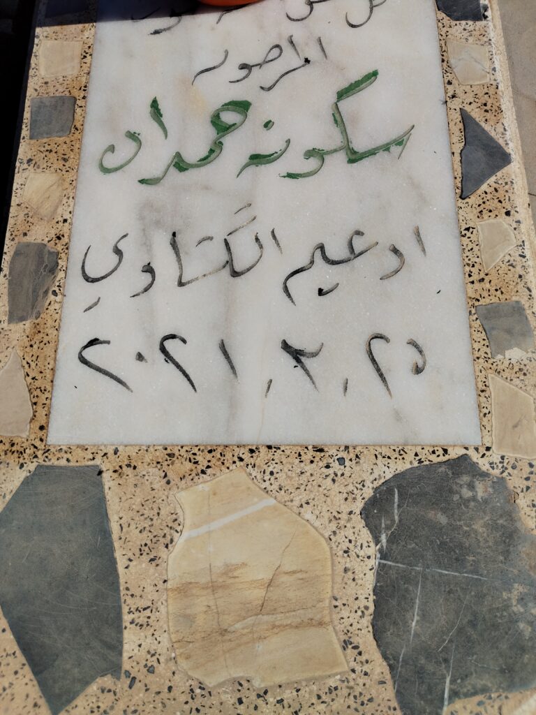 IMG 20250325 094131 768x1024