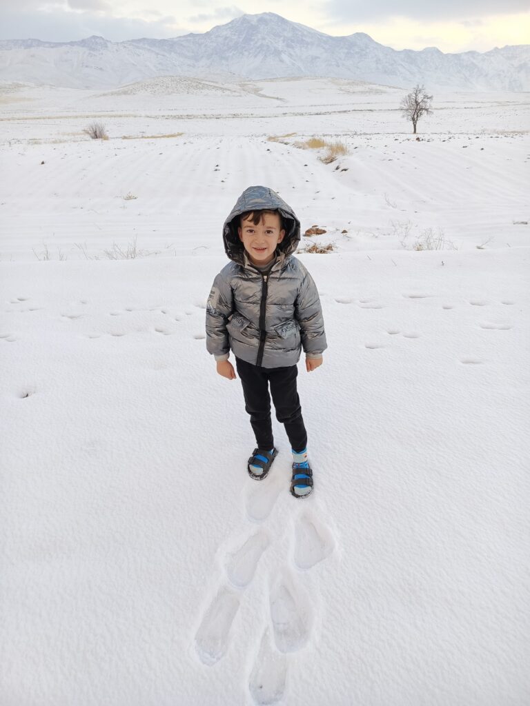 IMG 20250126 072015 449 768x1024